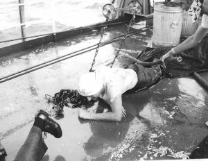 Shellback Initiation